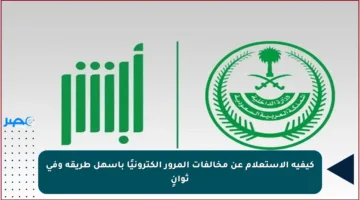 كيفية الاستعلام عن مخالفات المرور إلكترونيًا بأسهل طريقة وفي ثوانٍ